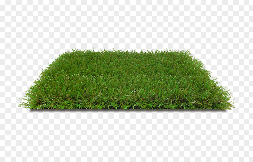 Turf Artificial Lawn Grass Garden Fiber PNG