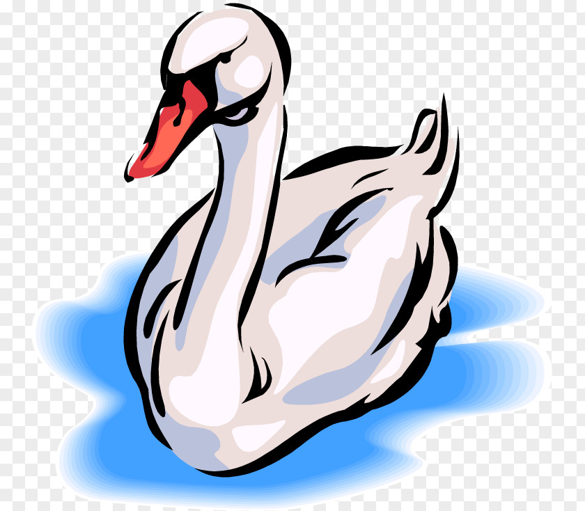 Bird Swimming Cliparts Black Swan Whooper Free Content Clip Art PNG