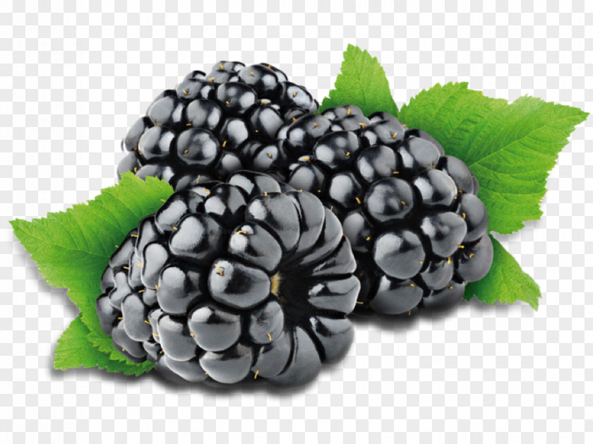 Blackberry Juice Cobbler Fruit PNG