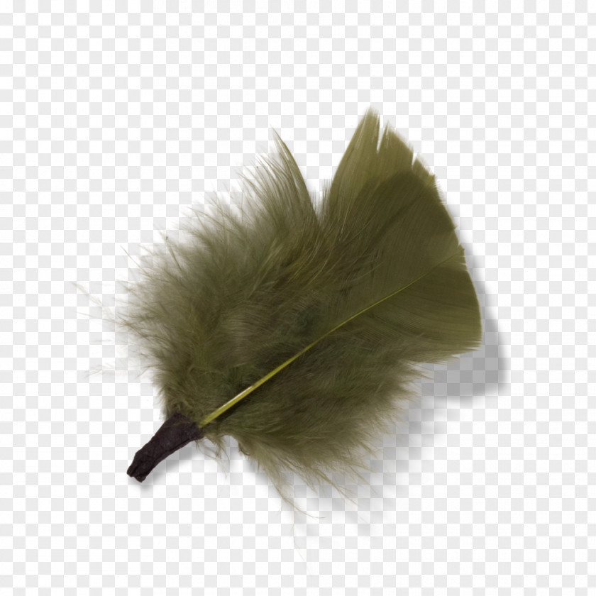 Feather Material PNG