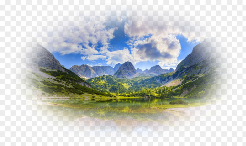 Forest Panorama Cartoon Nature Background PNG
