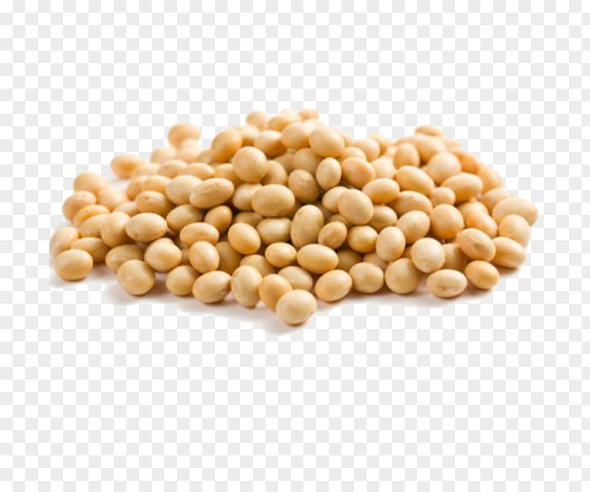 White Bean Soybean Soy Milk Vegetarian Cuisine Legume PNG