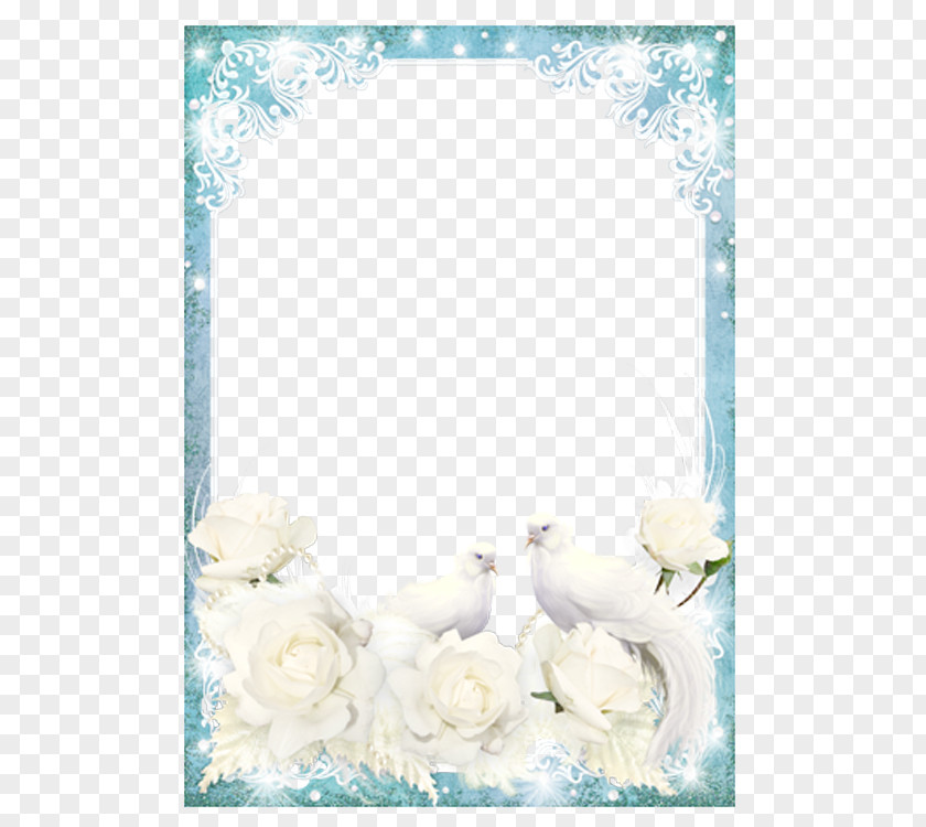A White Dove Floral Frame PNG white dove floral frame clipart PNG