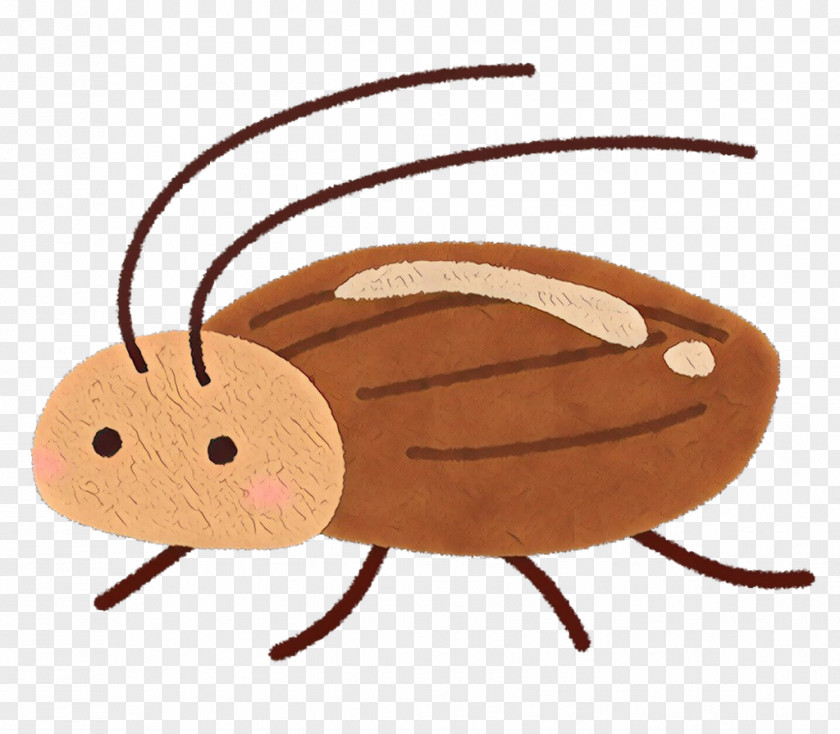 Darkling Beetles Ant Cartoon PNG