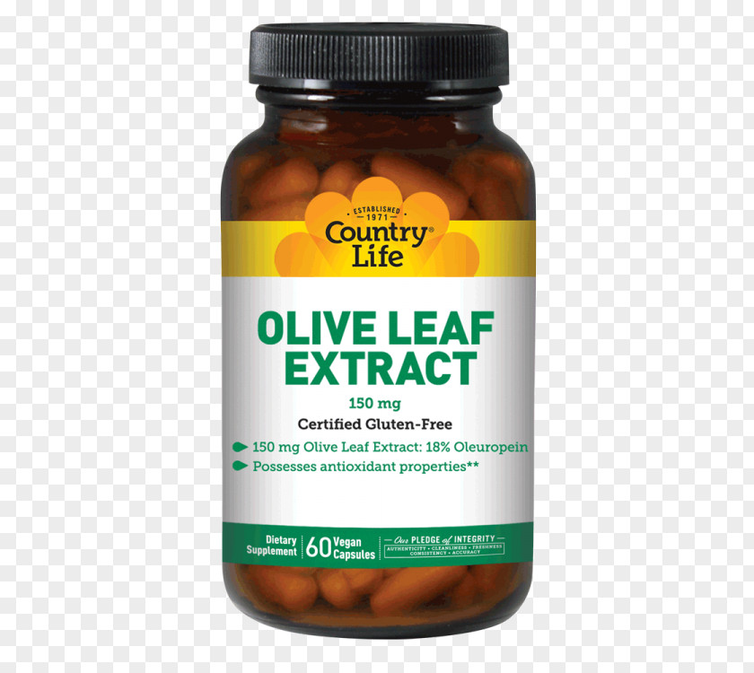 Olive Leaf Dietary Supplement Vitamin B-6 B Vitamins Carnitine PNG