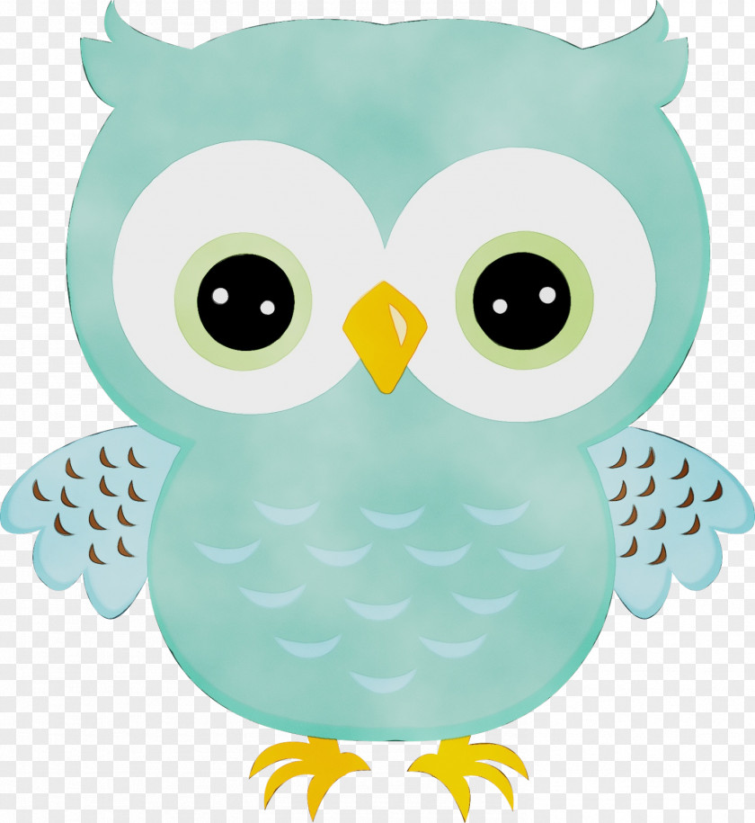 Snowy Owl Turquoise Picsart Background PNG
