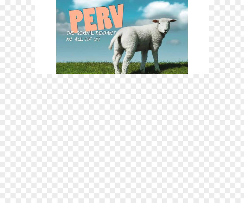 Chevre Sheep Simple Church Christian Eucharist PNG