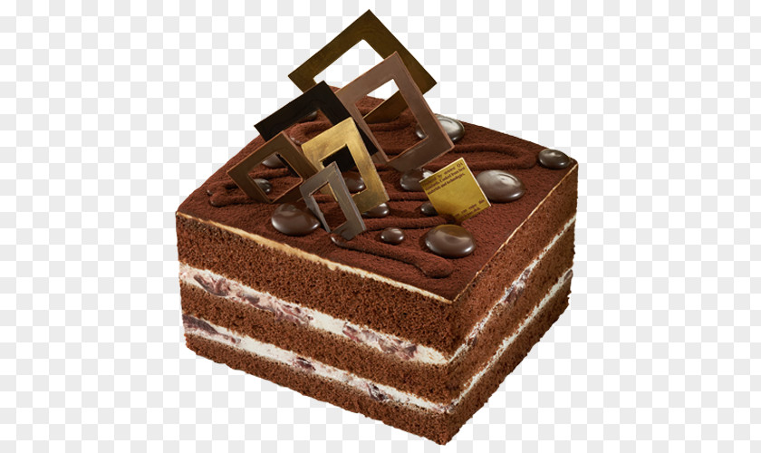 Chocolate Cake Torte-M PNG