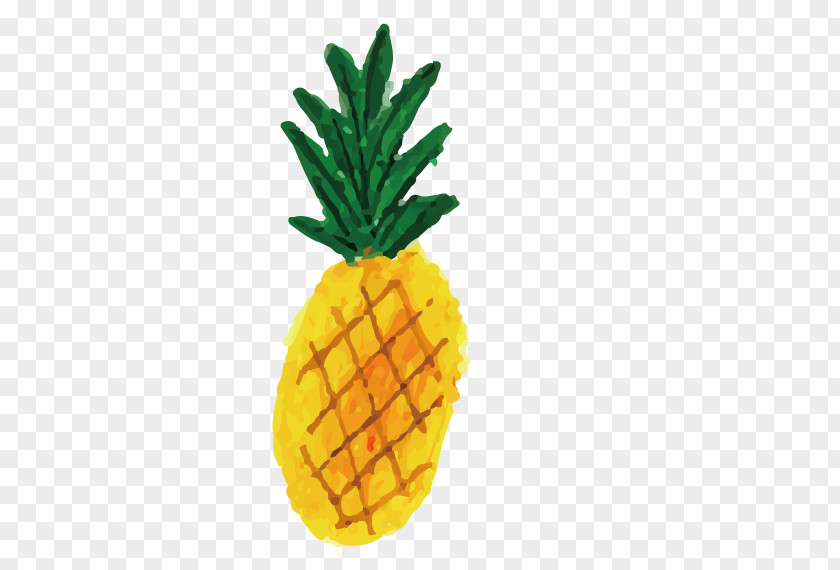 Hand Drawn Card Love Pineapple Drawing Watercolor Painting Illustrator Illustration PNG