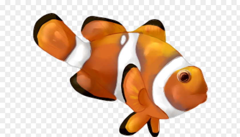 Clip Art Illustration Vector Graphics Clownfish Drawing PNG
