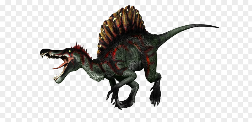 Dragon Velociraptor Tyrannosaurus Animal PNG