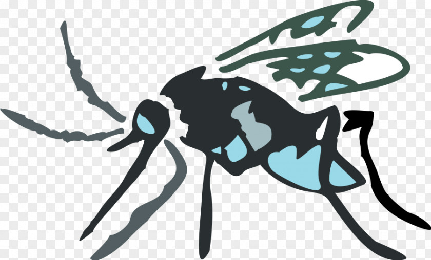 Insect Clip Art PNG