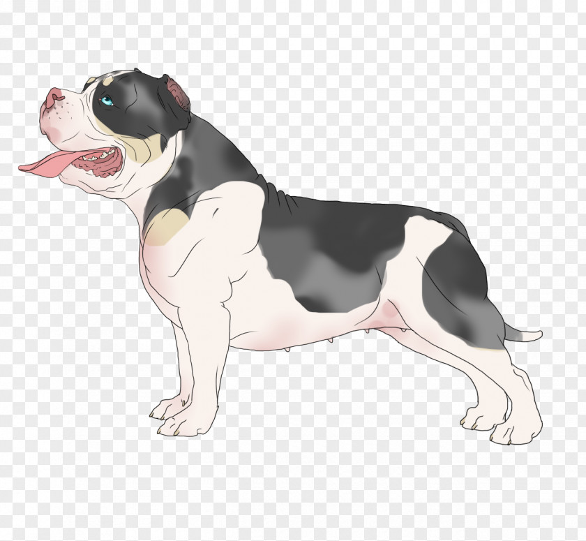 Puppy Boston Terrier Dog Breed Non-sporting Group Snout PNG