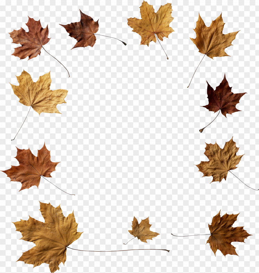 Autumn Stock Photography Fotosearch Adobe Photoshop Image PNG