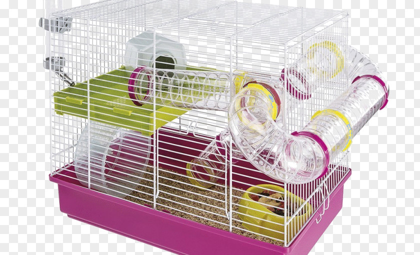 Hamster Cage Golden Gerbil PNG