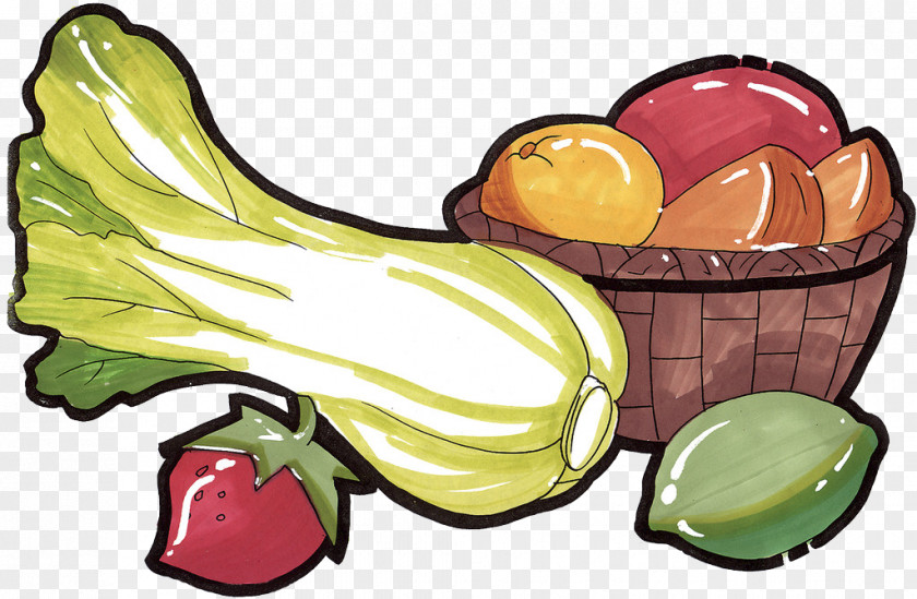 Vegetable And Fruit Food Illustration PNG