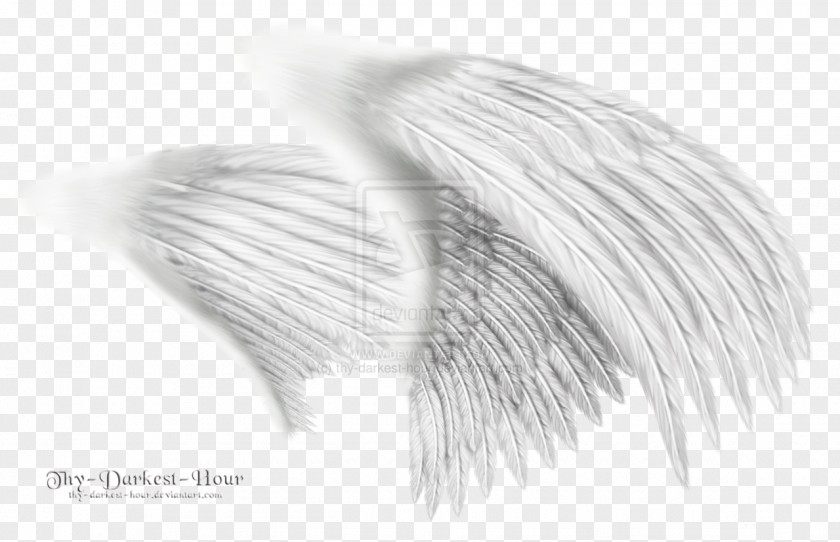 White Wings Angel Clip Art PNG
