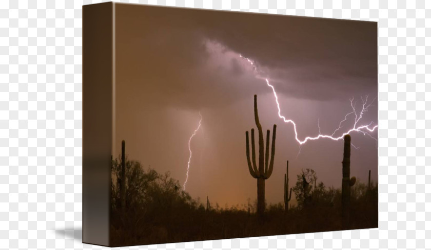 Arizona Desert Sonoran Lightning Southwestern United States Thunderstorm PNG