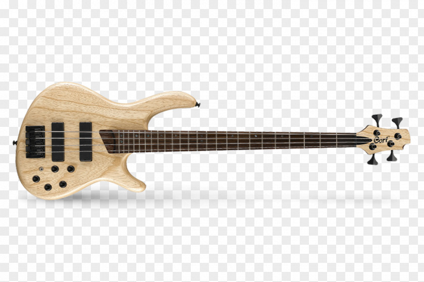 Bass Guitar String Instruments Cort Guitars Fender Stratocaster PNG