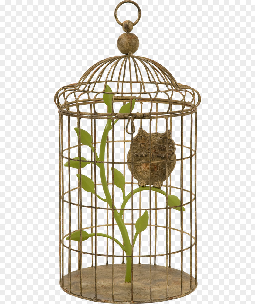 Decorative Bird Cages 4K Resolution PNG