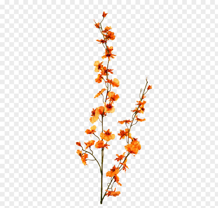 Orange Bouquet Flower Red PNG