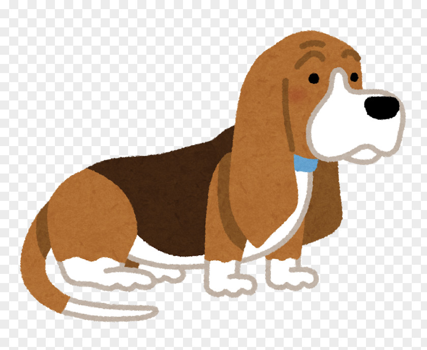 Puppy Basset Hound Dog Breed いらすとや PNG