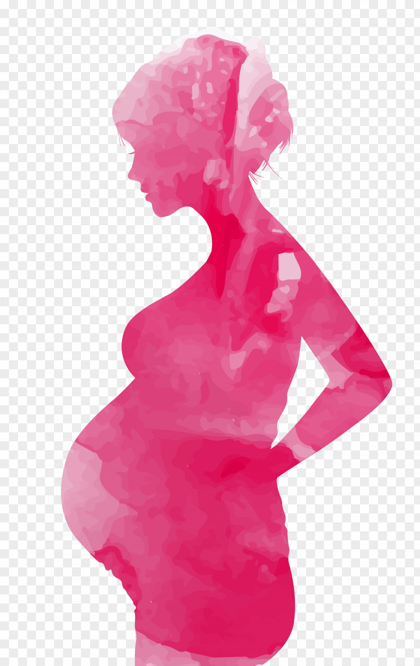 Red And Fresh Pregnant Women Decoration Pattern Mothers Day Pregnancy Child PNG
