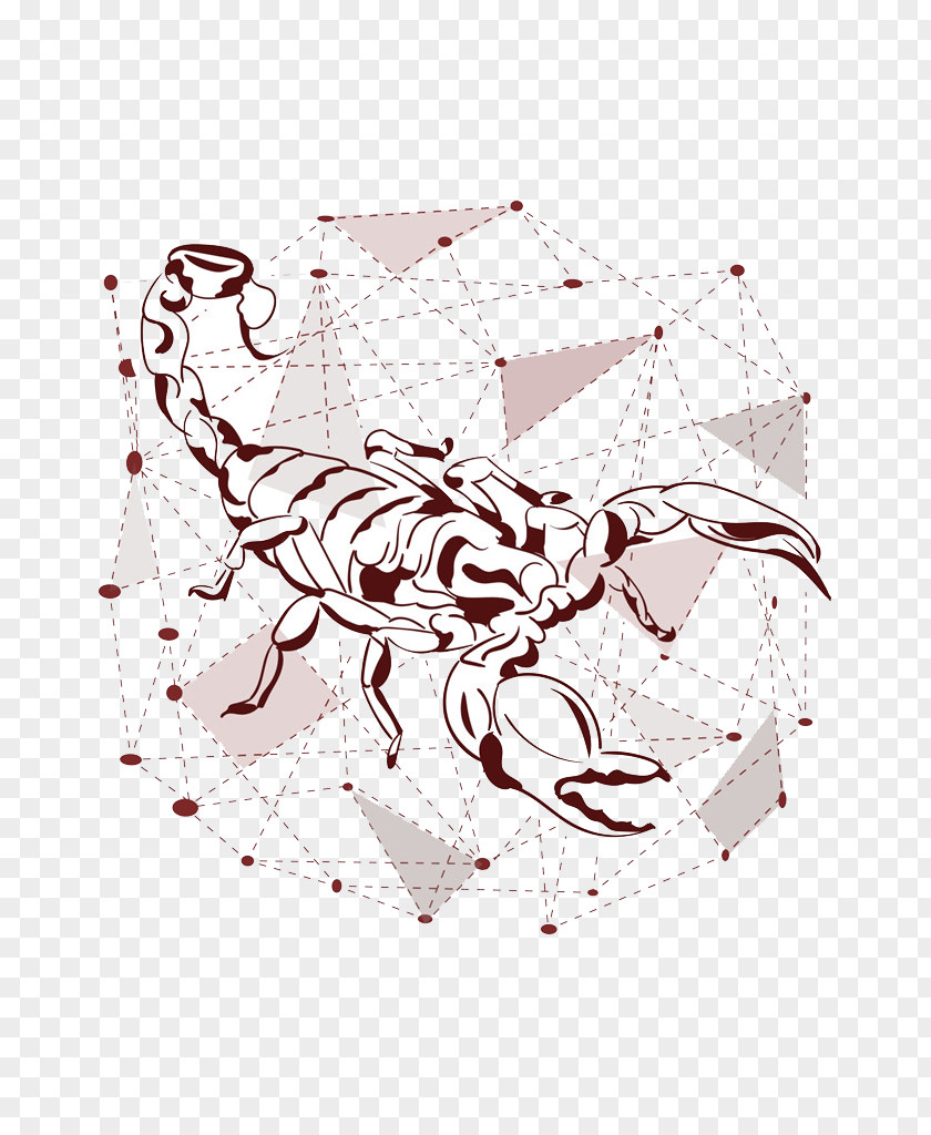 Red Scorpion Illustration PNG