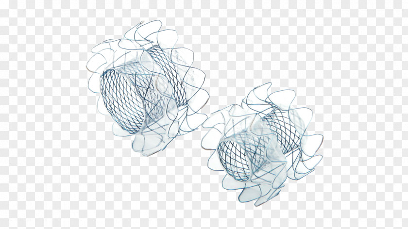 Wire Needle Ear Sketch PNG