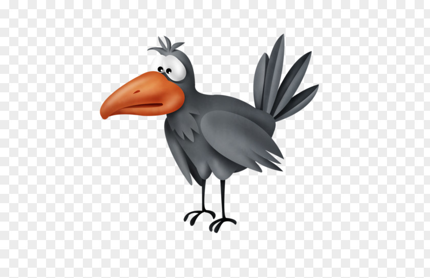 Gray Crow Bird Common Raven Grey PNG