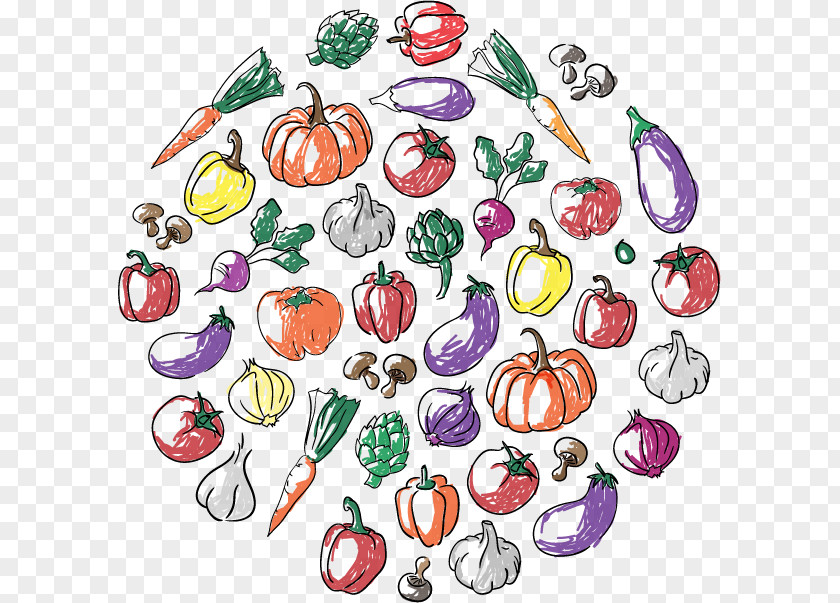 Hand-painted Vegetable Bell Pepper Carrot Garlic PNG