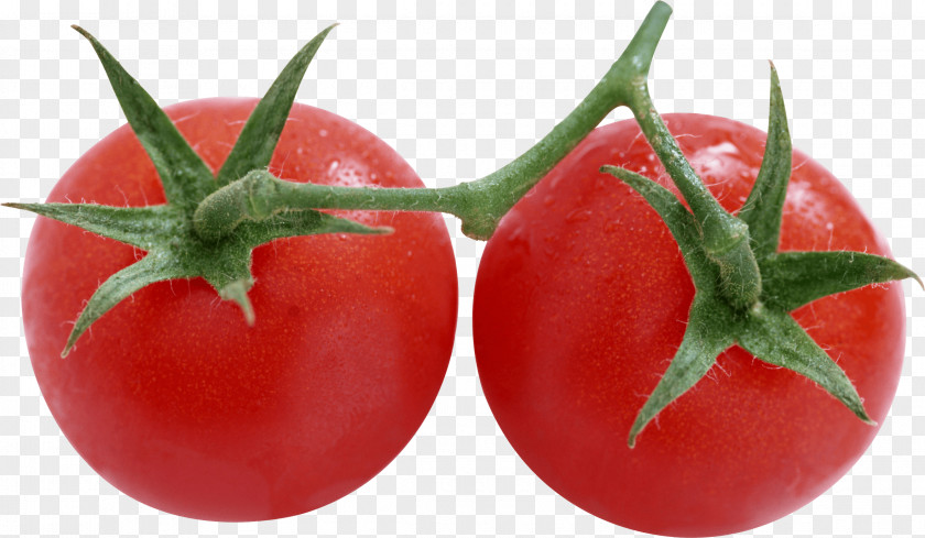 Tomato Image Salsa Rotten Tomatoes Pizza Food PNG