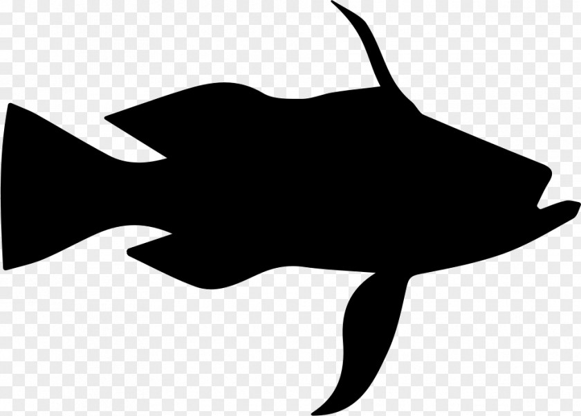 Triggerfish Outline Clip Art Computer File PNG