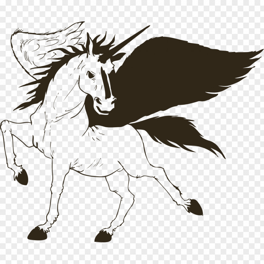 Hand Painted Pegasus Unicorn Horse PNG