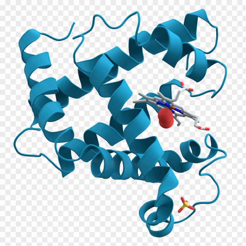 Pathway Biochemistry Biology Protein Science PNG