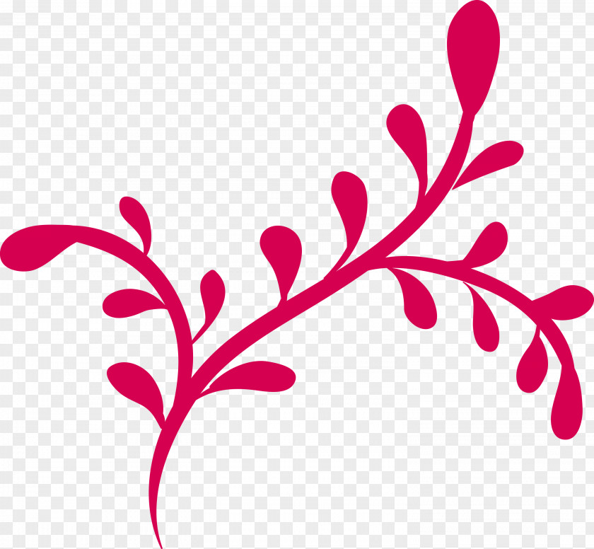 Plant Stem Flower Twig Leaf Tree PNG