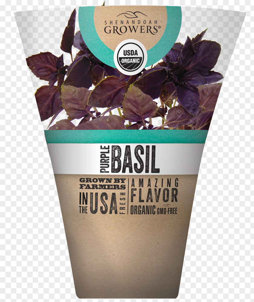 Basil Watercolor Organic Food Herb Flavor Shenandoah Growers Inc. PNG