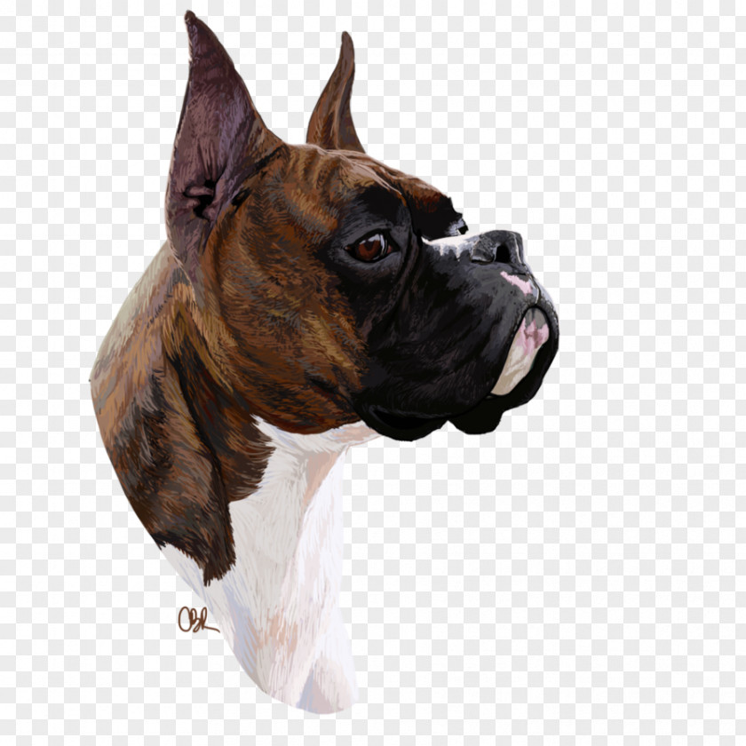 Boxer Dog Breed Valley Bulldog Boston Terrier Toy PNG