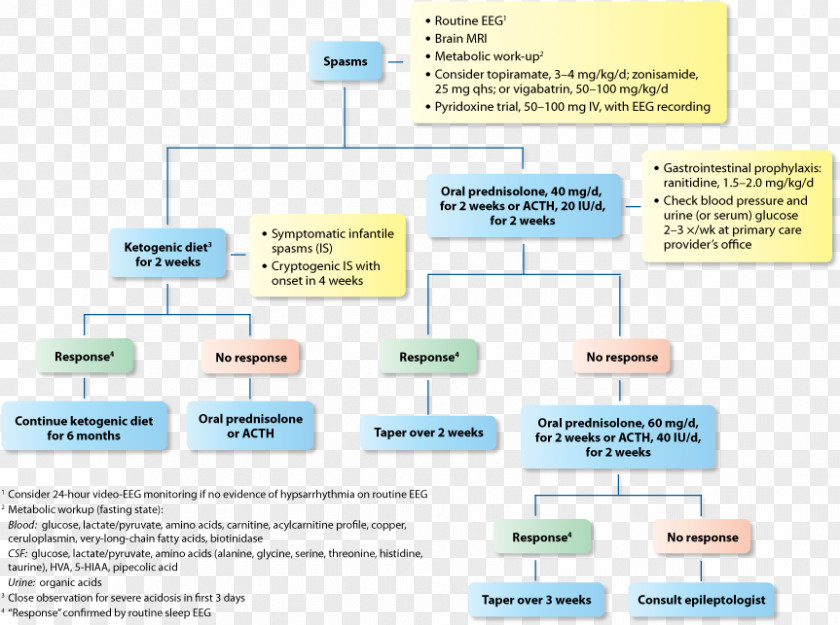 Diet Tyerapy Ketogenic Epilepsy Medical Guideline Therapy Epileptic Seizure PNG