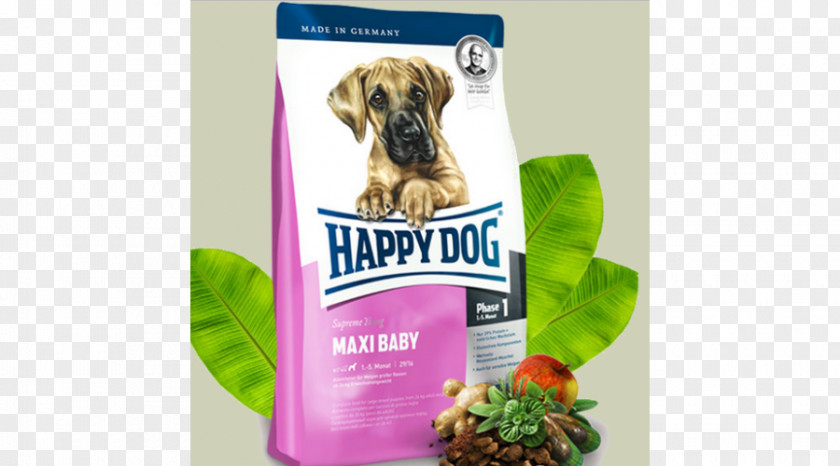 Dog Food Puppy Torrfoder Breed PNG