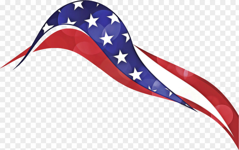 Flag Of The United States Costume Accessory PNG