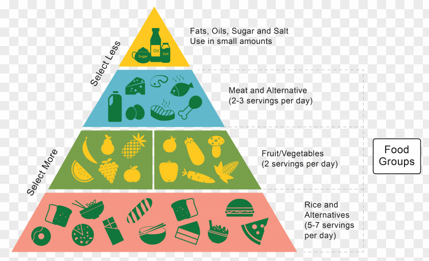 Health Food Pyramid Healthy Diet Carbohydrate PNG