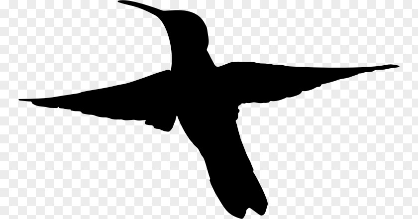 Hummingbird Clipart Duck Silhouette Clip Art PNG