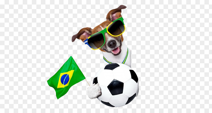 Nasa Puppy FIFA 12 2014 World Cup Brazil Dog PNG