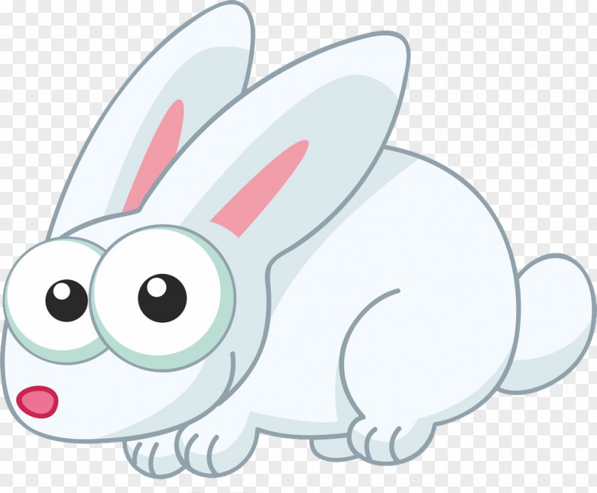 White Rabbit Cartoon PNG