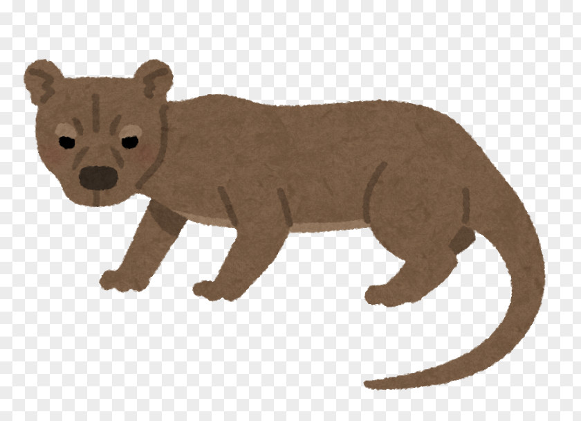 Bear いらすとや Fossa Animal PNG