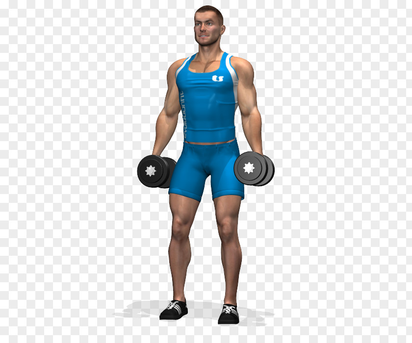 Dumbbell Shoulder Squat Upright Row Biceps Curl PNG