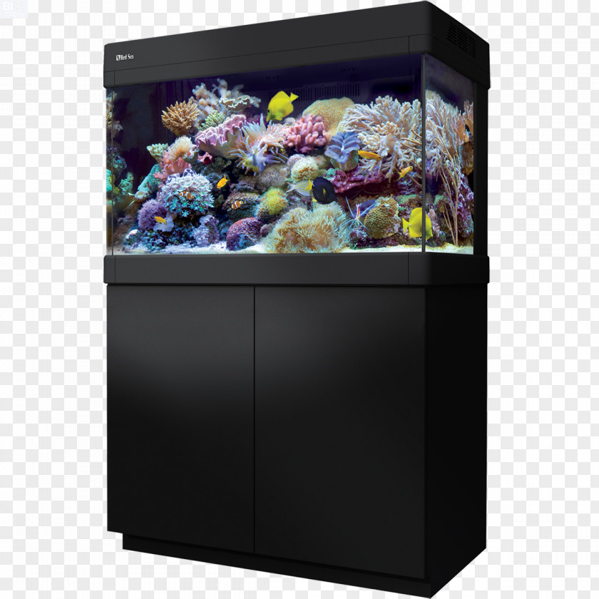 Fish Tank Red Sea Reef Aquarium Aquariums Coral PNG