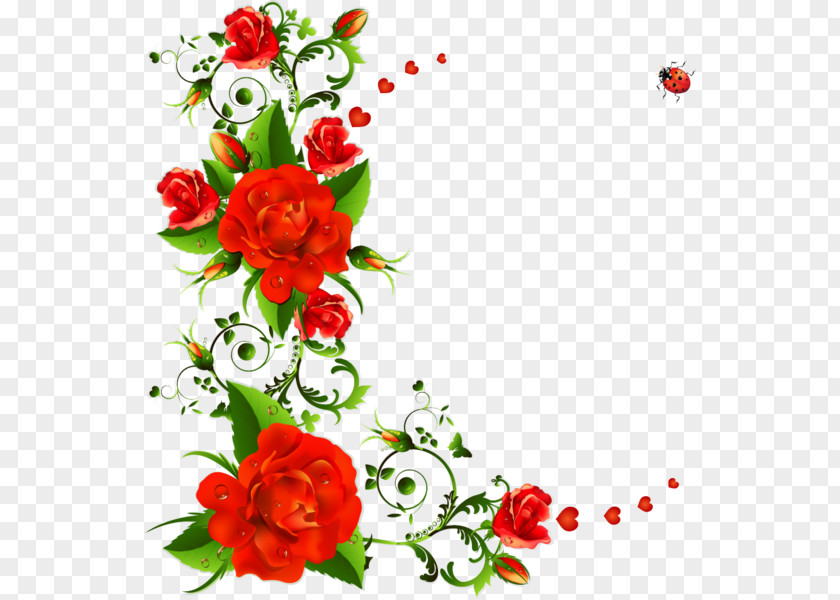 Flower Clip Art Vector Graphics Rose PNG