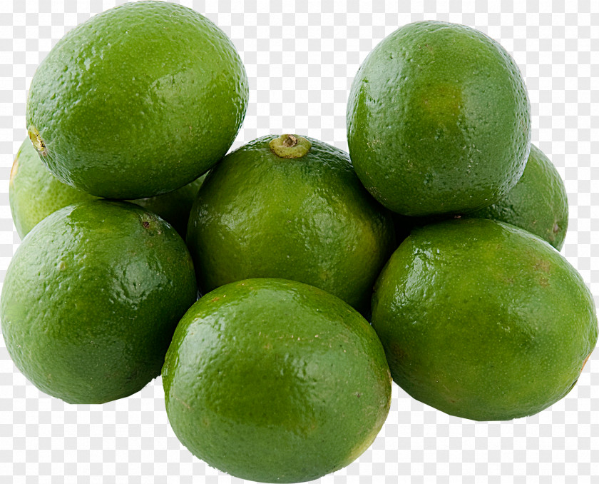 Gabe Key Lime Sweet Lemon Persian PNG